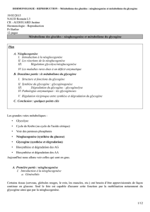 Reproduction Pr Barlier 12 pages Métabolisme des glucides