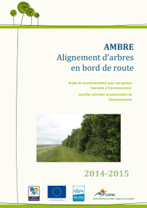 2014-2015 AMBRE Alignement d`arbres en bord de route