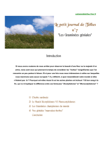 Le petit journal de Tellus n°7 - Cabane de Tellus
