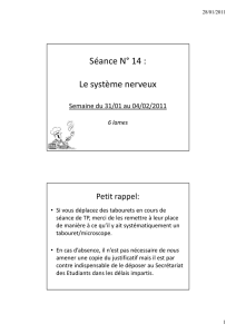 TP14_Systeme Nerveux