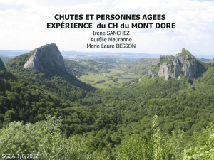 CHUTES ET PERSONNES AGEES EXPÉRIENCE du CH du MONT