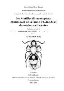 Traduction par - Atlas Hymenoptera