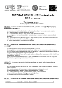 TUTORAT UE5 2011-2012 – Anatomie