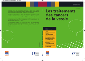 4 pages - Cancer Environnement