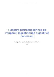 Tumeurs neuroendocrines de l`appareil digestif (tube digestif et