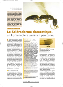 Le Scvléroderme domestique / Insectes n° 129