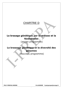 Le brasage génétique par la méiose et la fécondation - Poly