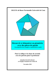 Découvrir et démontrer en géométrie avec des pièces de puzzle