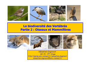 La biodiversité des Vertébrés Partie 2 : Oiseaux et Mammifères