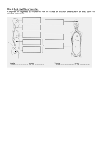 Doc.7: Les cavités corporelles.