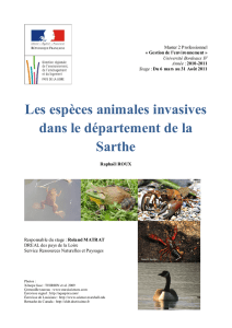 Les espèces animales invasives dans le département de la Sarthe