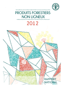 Rapport provisoire PFNL 2012