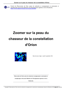 Zoomer sur la peau du chasseur de la constellation d`Orion