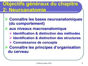 Objectifs généraux du chapitre 2 Neuroanatomie