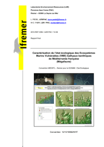 Caractérisation de l`état écologique des Ecosystèmes Marins