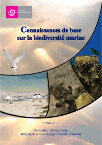 Connaissances de base sur la biodiversité marine