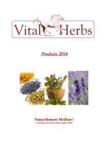 Catalogue Vital`Herbs 2016