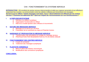 CH4 : FONCTIONNEMENT DU SYSTEME NERVEUX