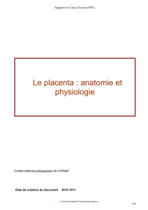 Le placenta : anatomie et physiologie
