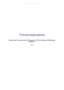 Trichocéphalose