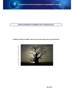 Rapport Economique et Commercial DUE Senegal Final 270315