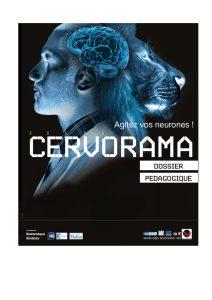Cervorama - Cap Sciences