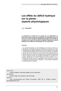Les effets du déficit hydrique sur la plante : aspects