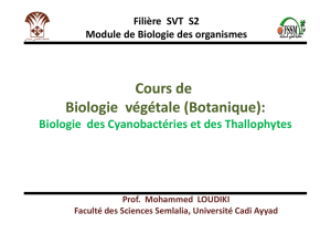 Biologie des Cyanobactéries SVT S2