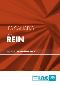 Les cancers du rein