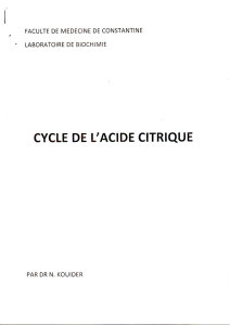 CYCLE DE L`ACIDE CITRIQUE