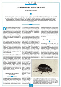 Les insectes des millieux extrêmes / Insectes n° 96