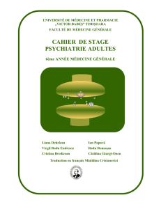 cahier de st psychiatr cahier de stage psychiatrie adultes