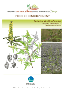 FICHE DE RENSEIGNEMENT - Observatoire des plantes exotiques