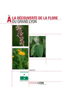 À la découverte de la flore du Grand Lyon