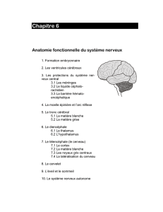 chapitre 1 - patrickjjdaganaud.com