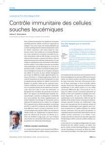 Contrôle immunitaire des cellules souches leucémiques