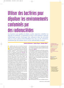 Utiliser des bactéries pour dépolluer les environnements