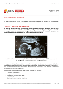 Tout savoir sur la grossesse - Futura