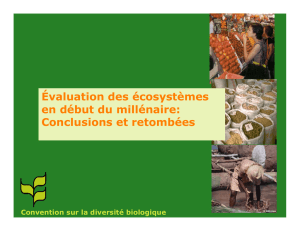 Évaluation des écosystèmes en début du millénaire: Conclusions et