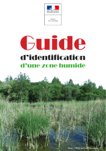 Guide d`identification d`une zone humide