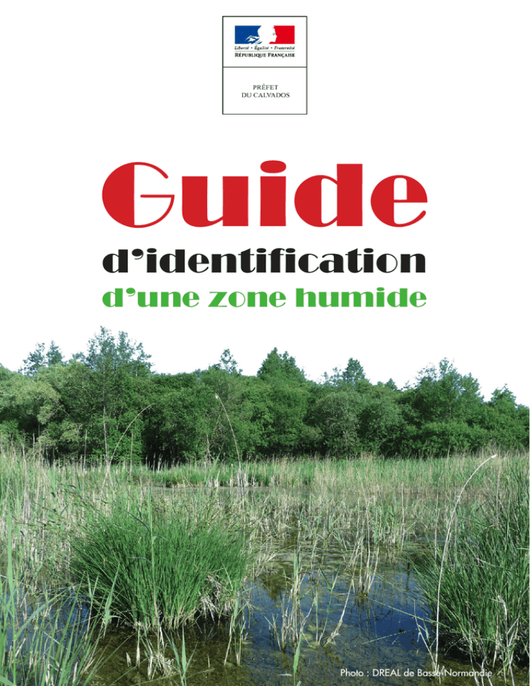 Guide D`identification D`une Zone Humide