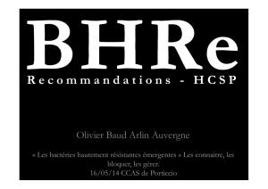 Les BHRe : définition, émergence en France - CClin Sud-Est