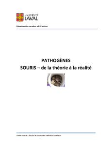 PATHOGÈNES SOURIS - Direction des services vétérinaires