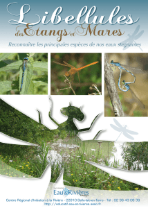 Etangs Mares - Educatif eau et rivières