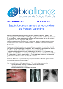 08-Staphylococcus aureus et leucocidine de Panton
