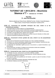 Séance 7 - Glucides