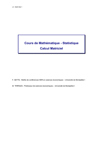 Cours de Mathématique - Statistique Calcul Matriciel