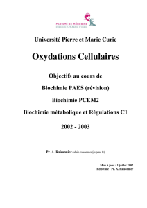 Oxydations Cellulaires - CHUPS – Jussieu