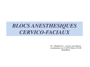 blocs anesthesiques cervico-faciaux