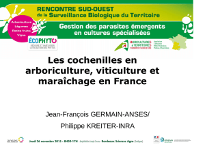 Les cochenilles en arboriculture, viticulture et maraîchage en France